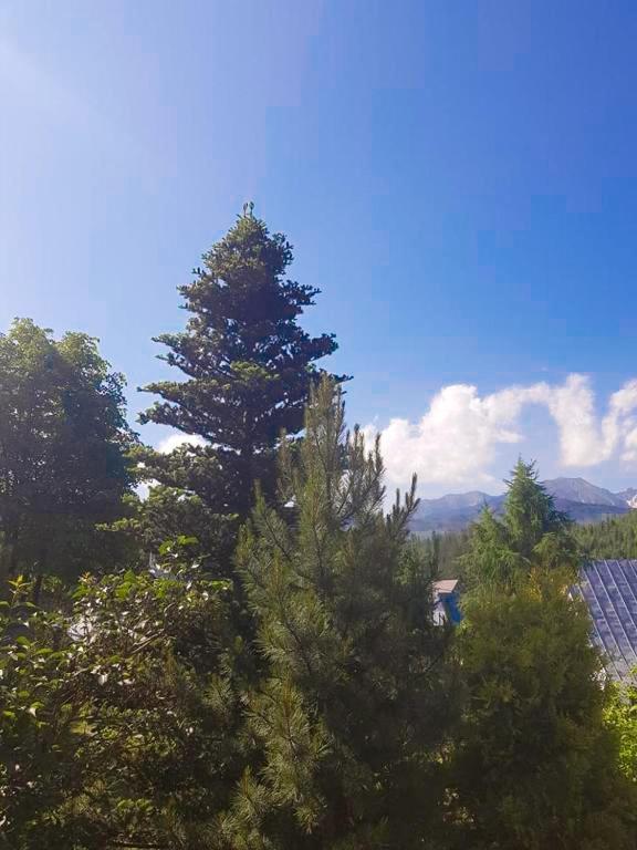 Pokoje Gosinne U Ani I Andrzeja Ciche Małe Εξωτερικό φωτογραφία
